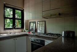 Emerald Hill Conservation Area (D9), Shop House #593642861